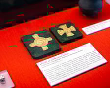 Wystawa Artificalia, naturalia, exotica w Muzeum Archeologicznym we Wrocławiu